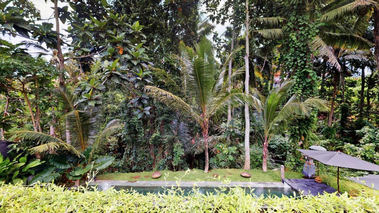 Six Cubes Ubud Hotel Esterno foto